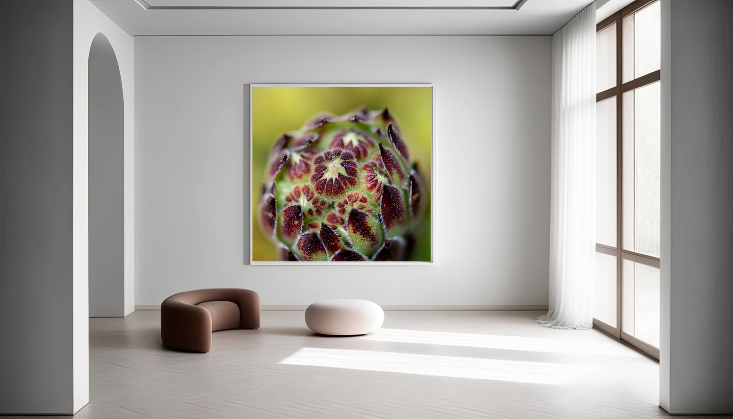 Framed photo paper poster