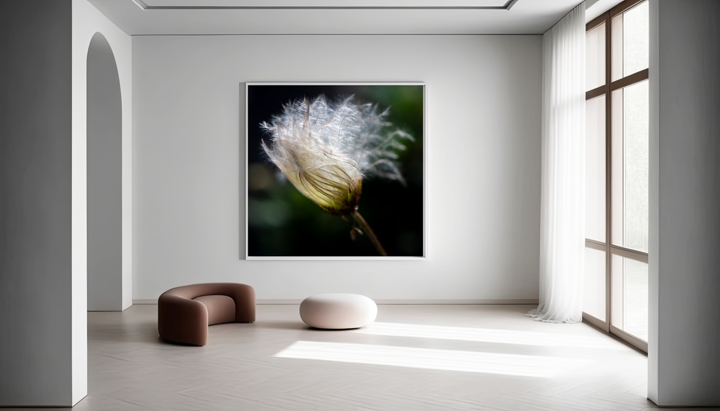 Framed photo paper poster