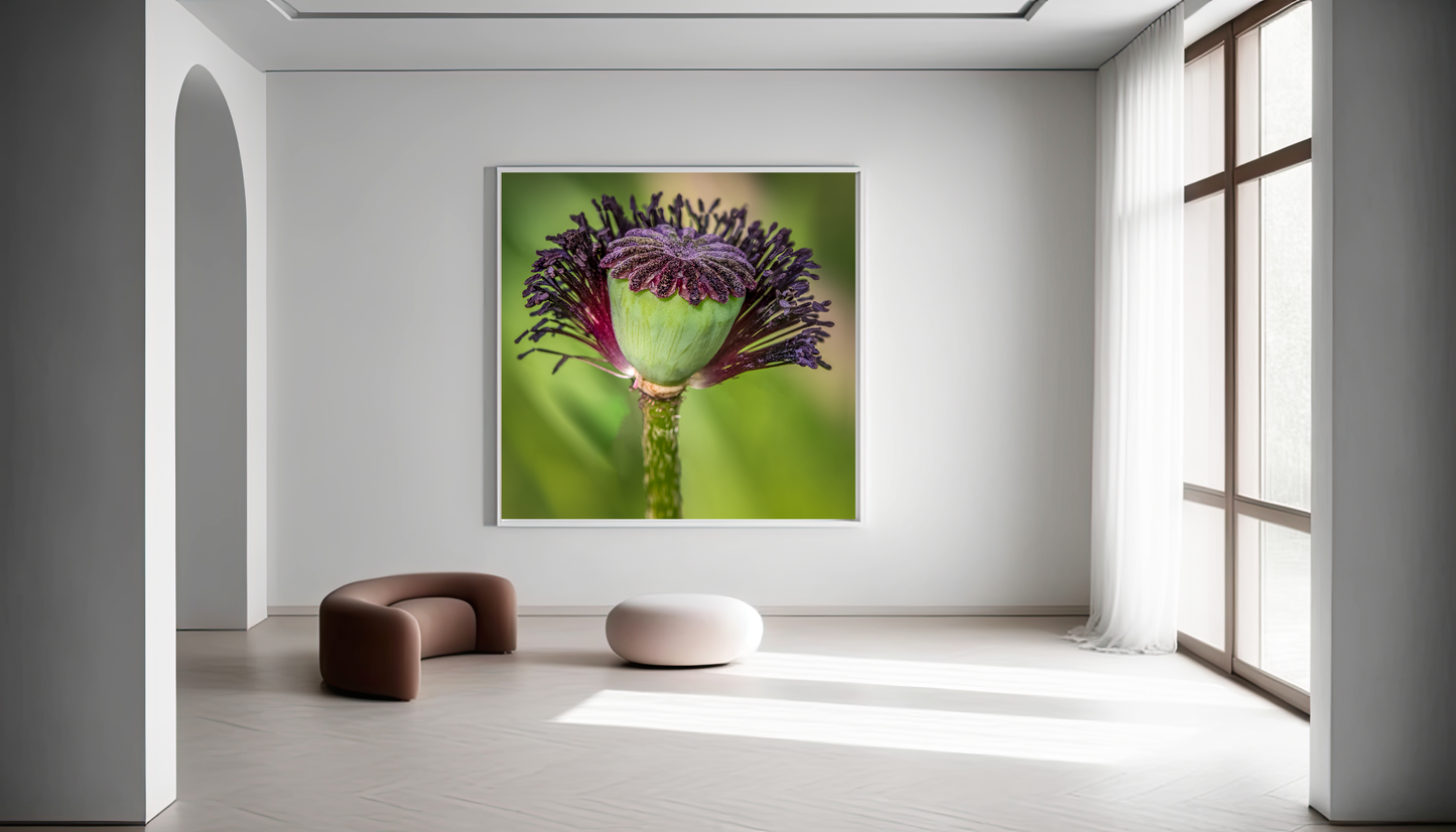 Framed photo paper poster
