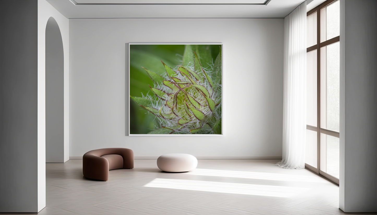 Framed photo paper poster