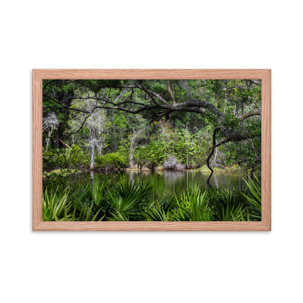 Framed photo paper poster
