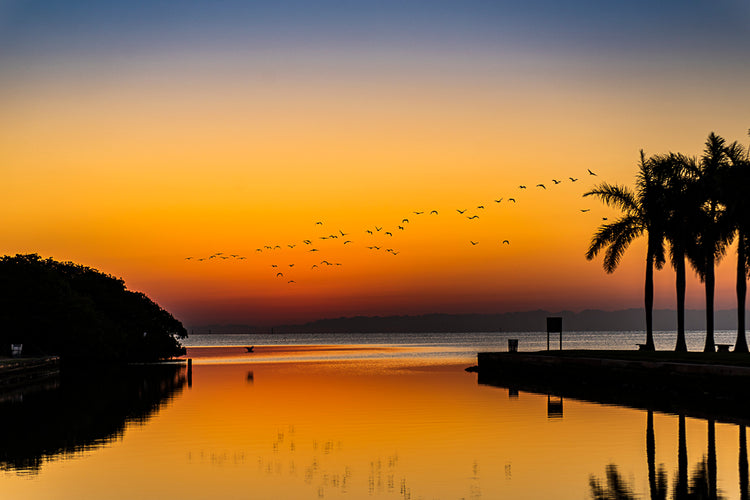 Awakening by the sea