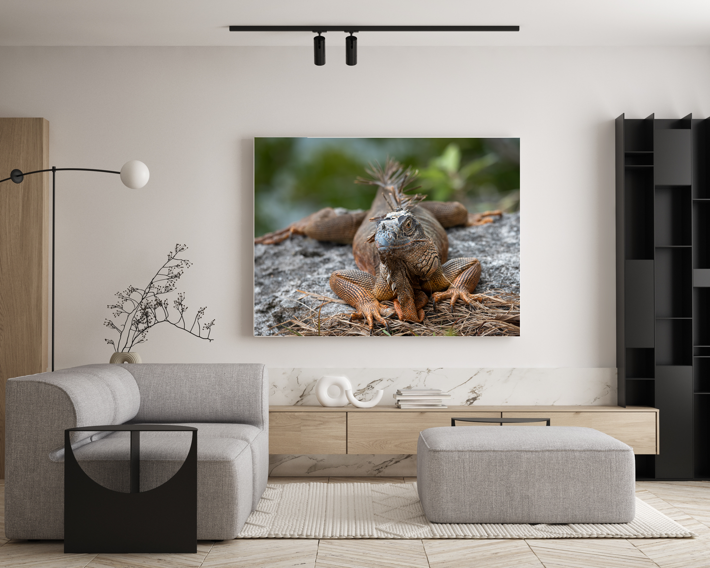 Metal prints
