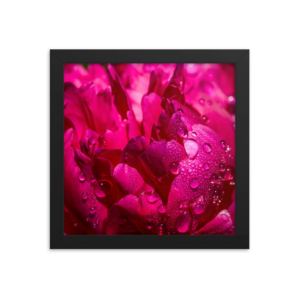 Framed photo paper poster