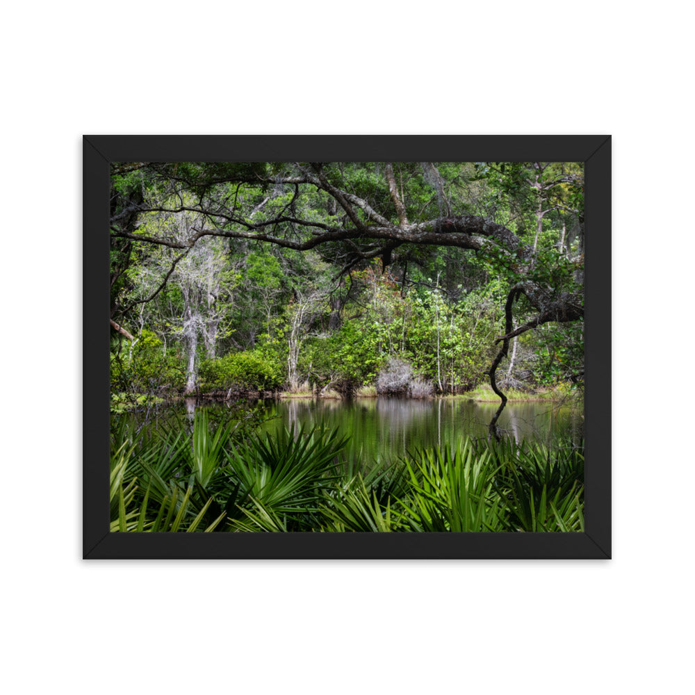 Framed photo paper poster