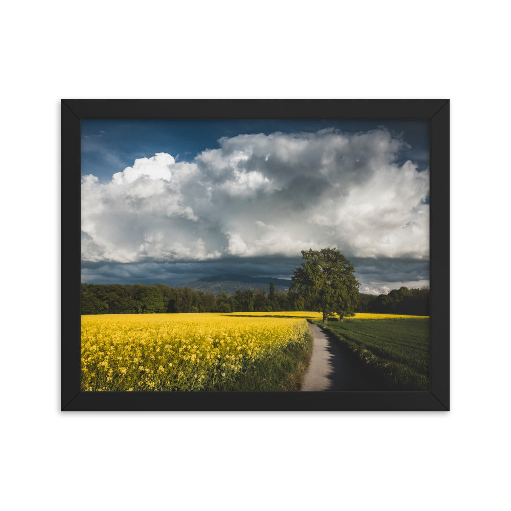 Framed photo paper poster