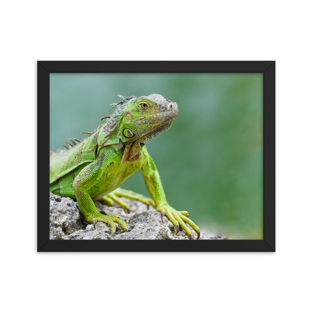 Framed photo paper poster