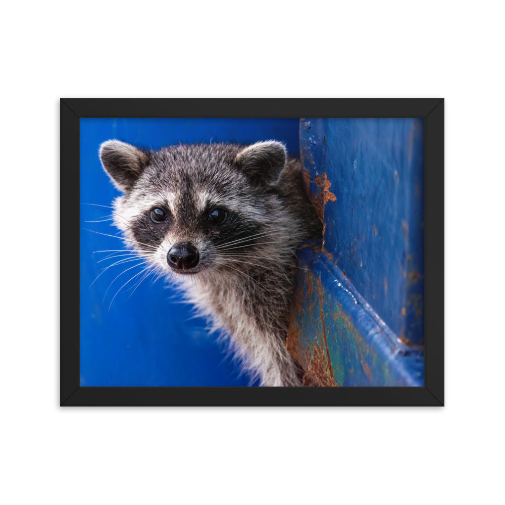 Framed photo paper poster