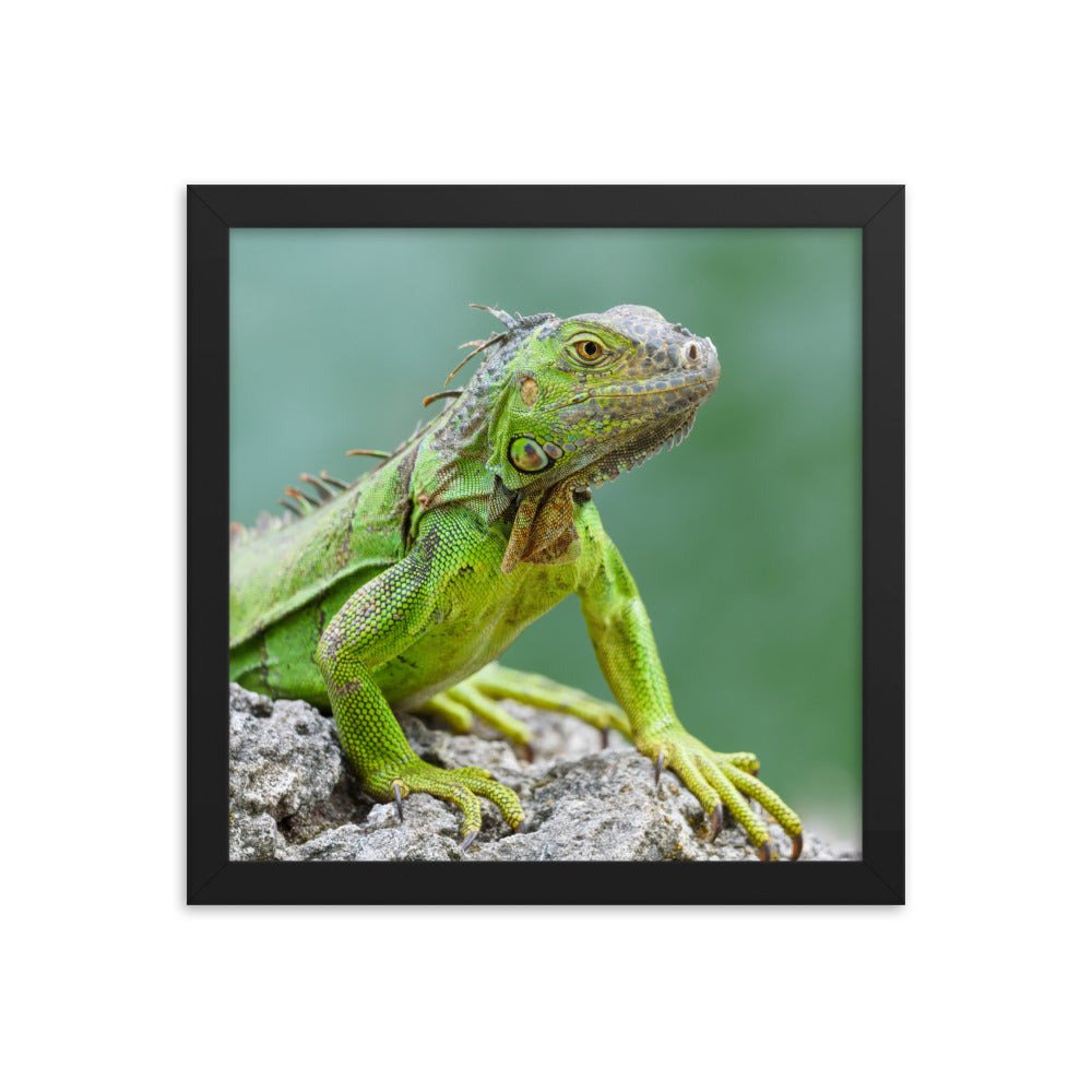 Framed photo paper poster