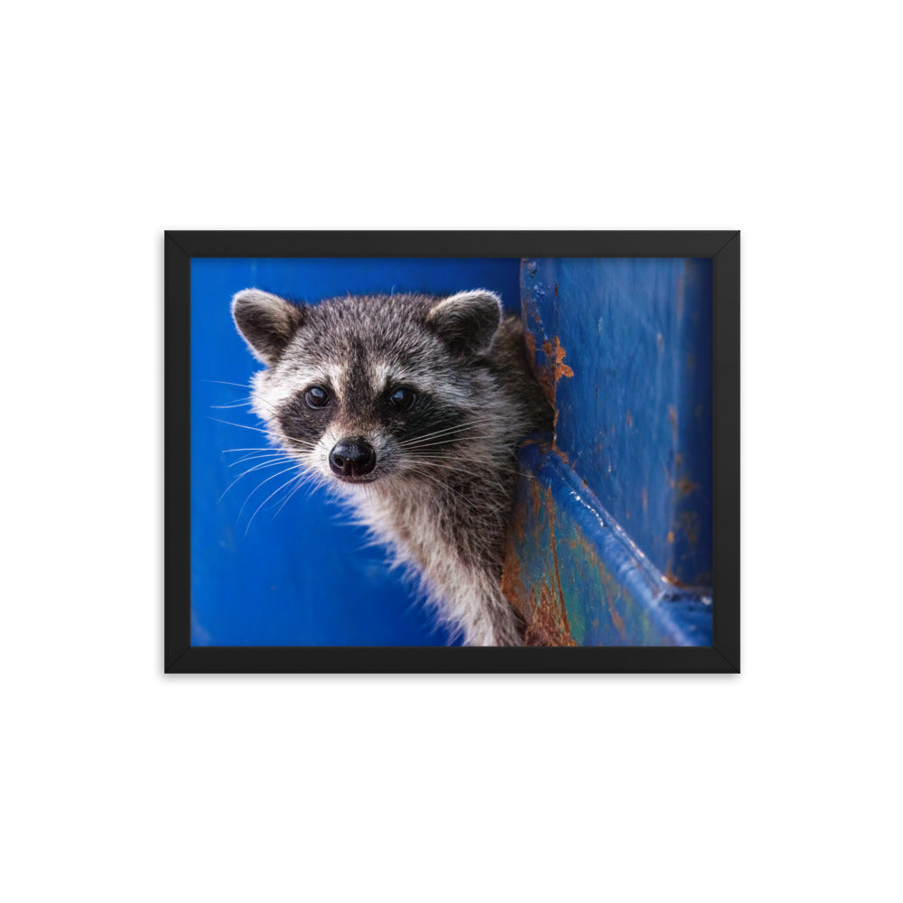 Framed photo paper poster