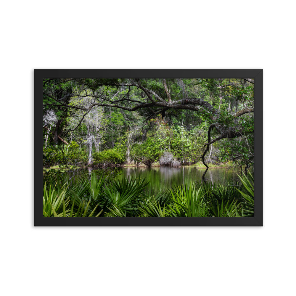 Framed photo paper poster