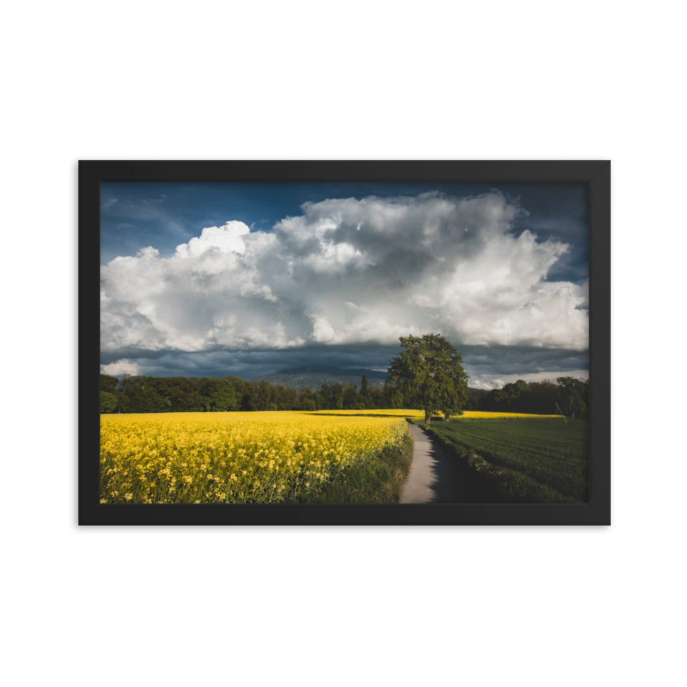 Framed photo paper poster