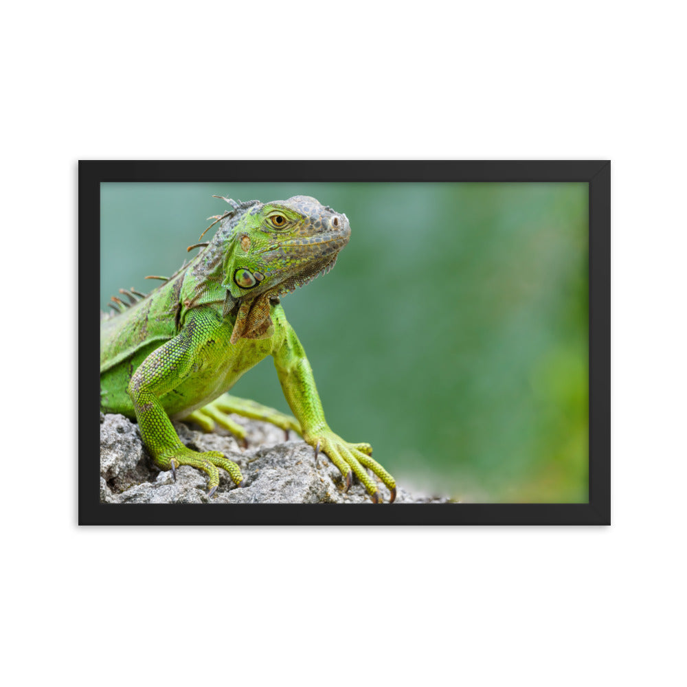 Framed photo paper poster