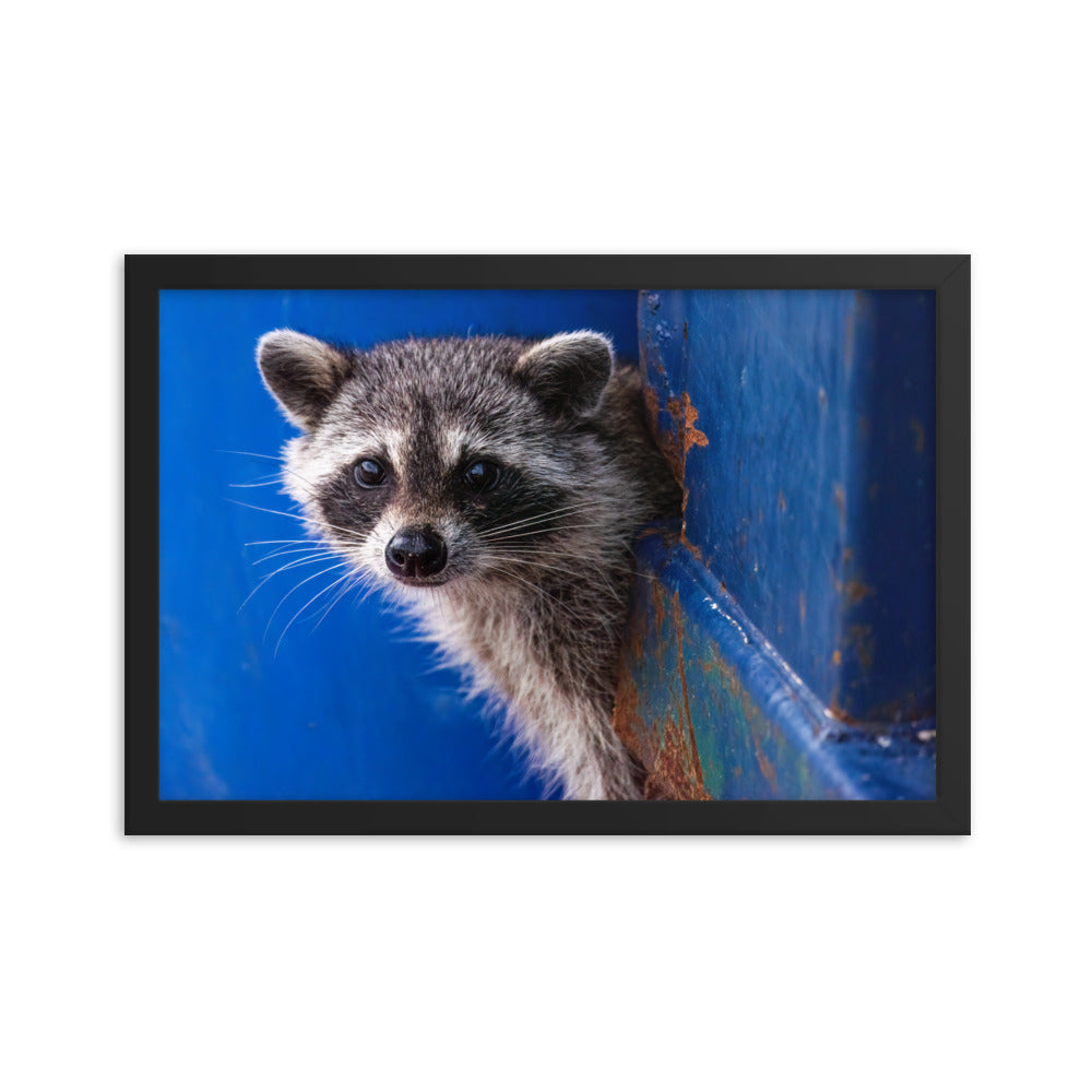 Framed photo paper poster