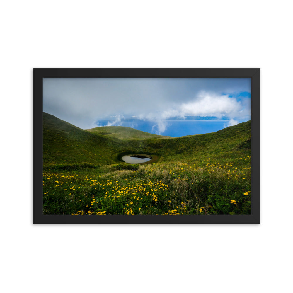 Framed photo paper poster