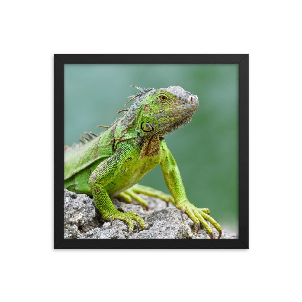 Framed photo paper poster