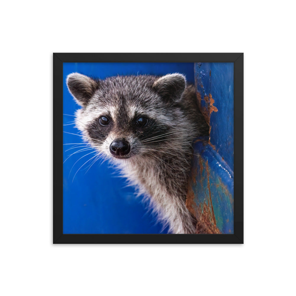 Framed photo paper poster