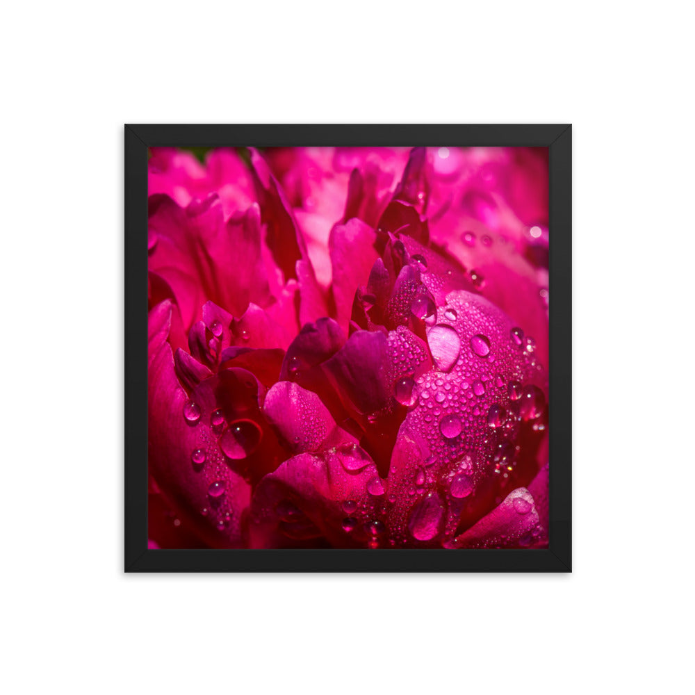 Framed photo paper poster