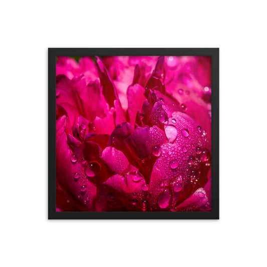 Framed photo paper poster