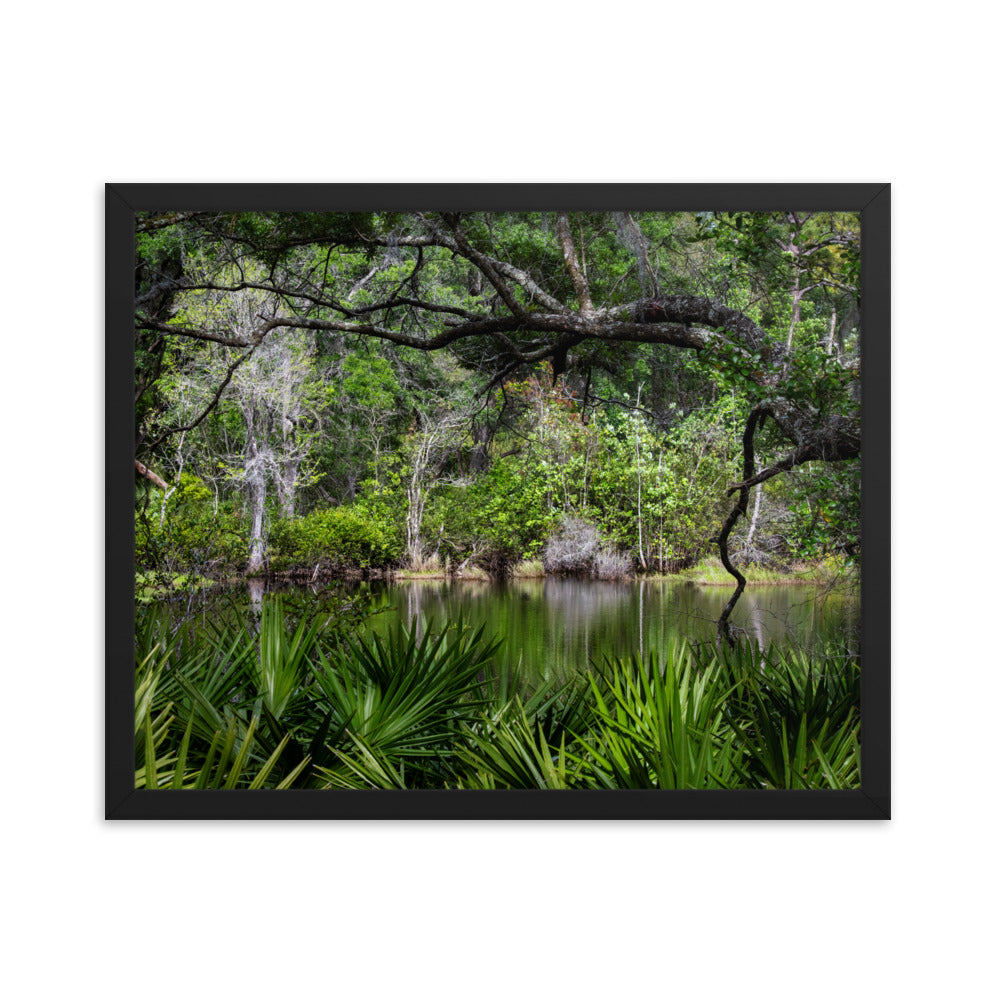 Framed photo paper poster