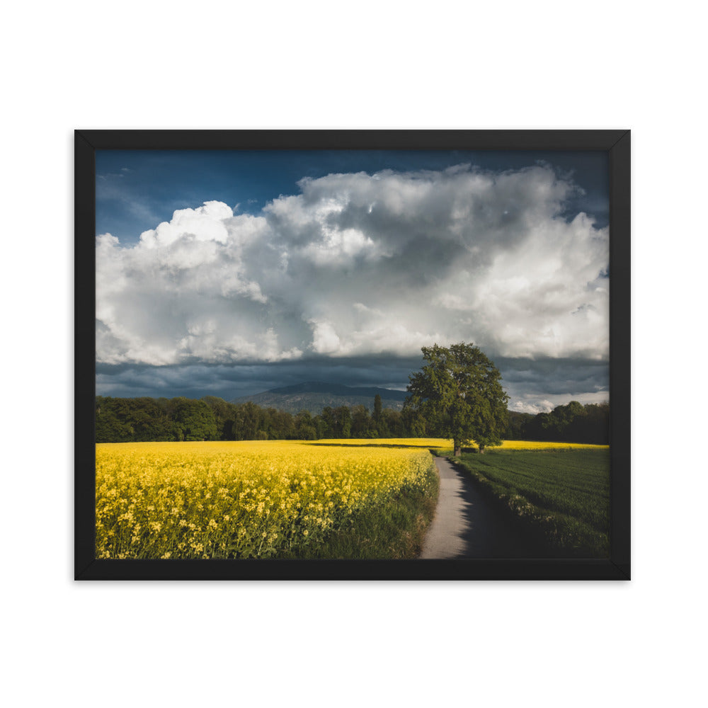 Framed photo paper poster