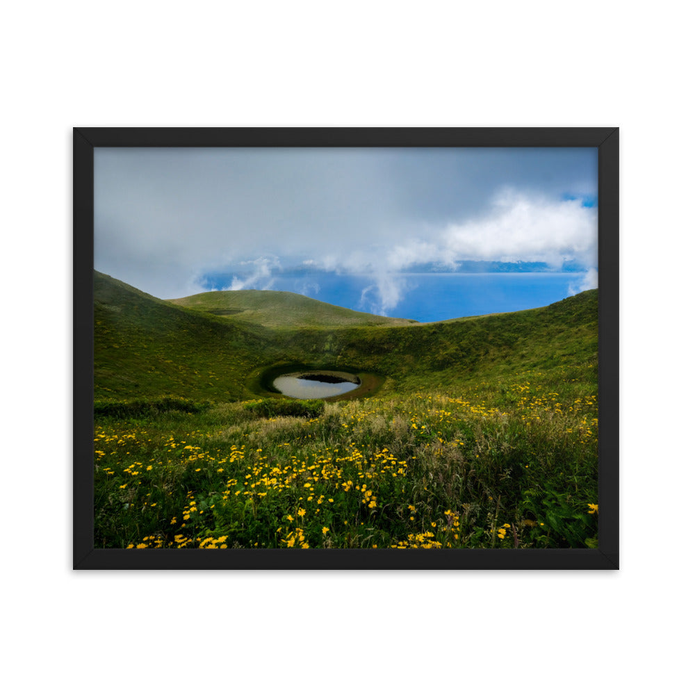 Framed photo paper poster