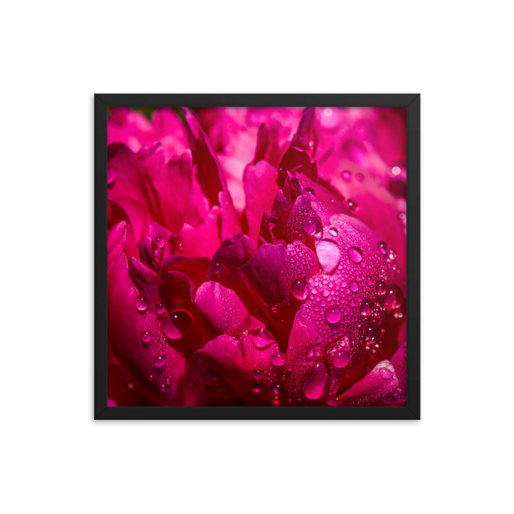 Framed photo paper poster