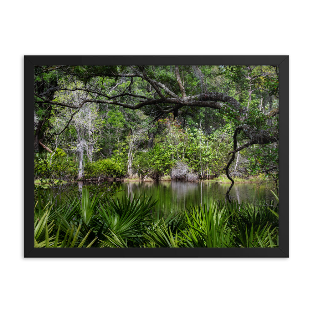 Framed photo paper poster