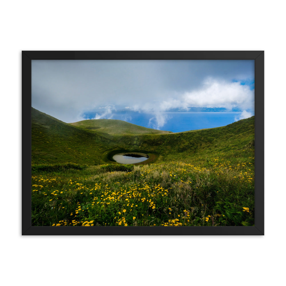 Framed photo paper poster