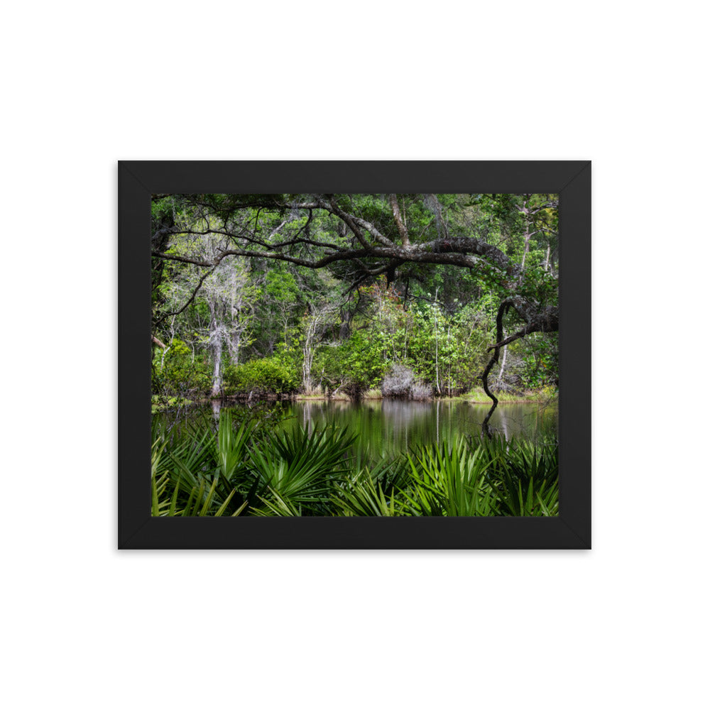 Framed photo paper poster