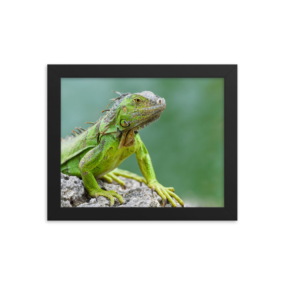 Framed photo paper poster