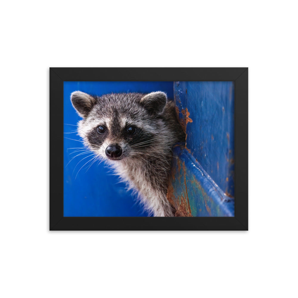 Framed photo paper poster