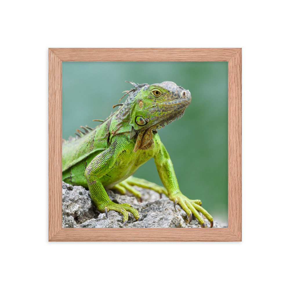 Framed photo paper poster