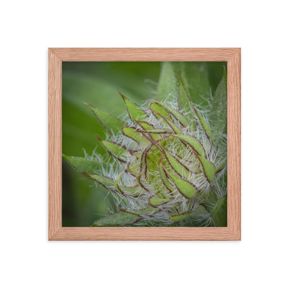 Framed photo paper poster