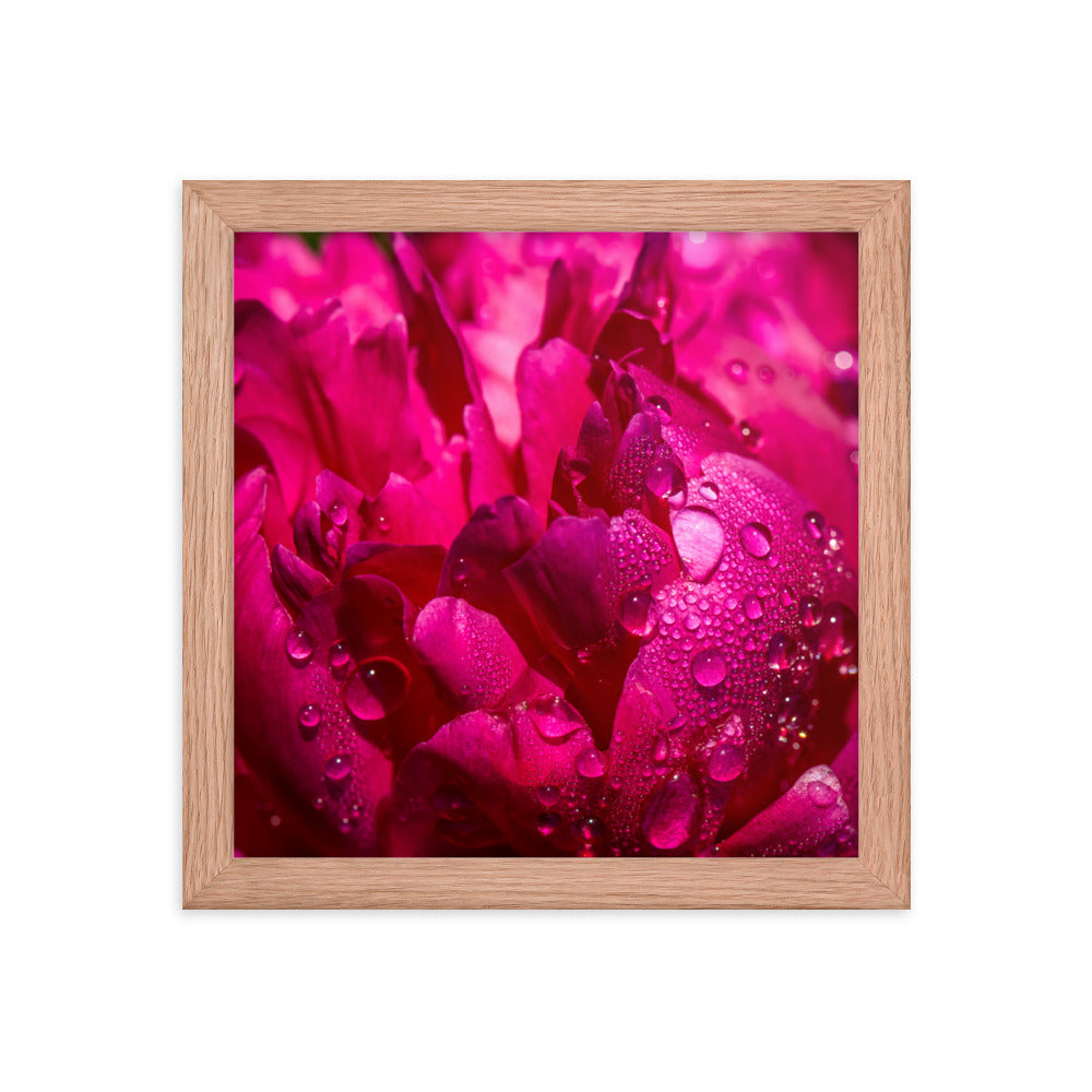 Framed photo paper poster