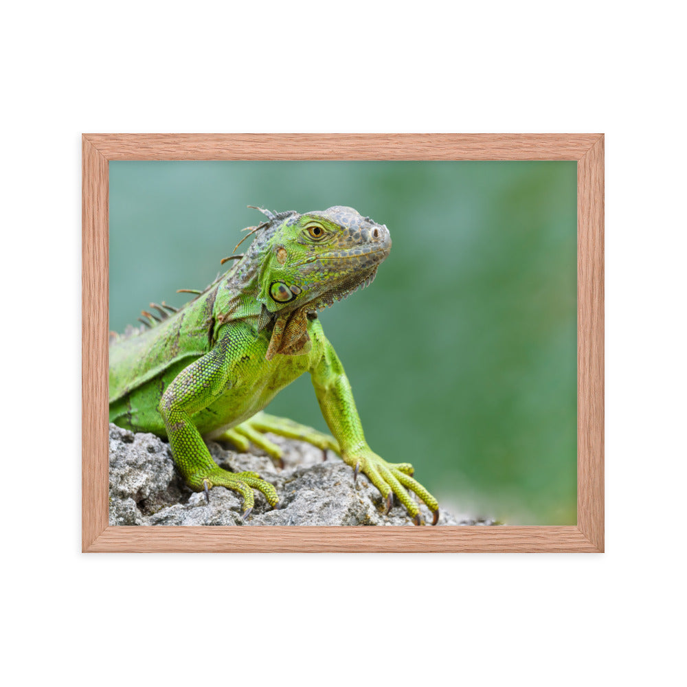 Framed photo paper poster