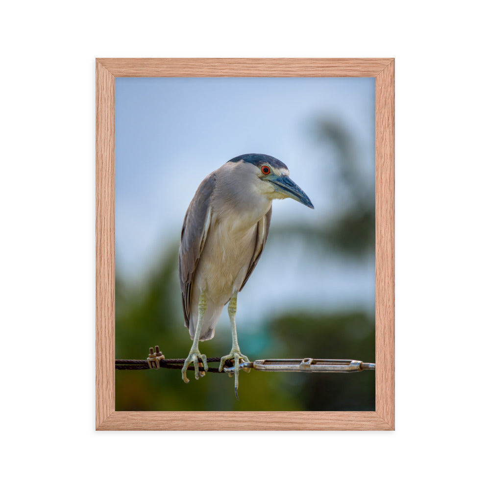 Framed photo paper poster