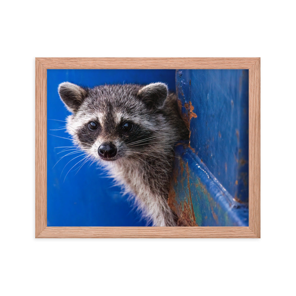 Framed photo paper poster