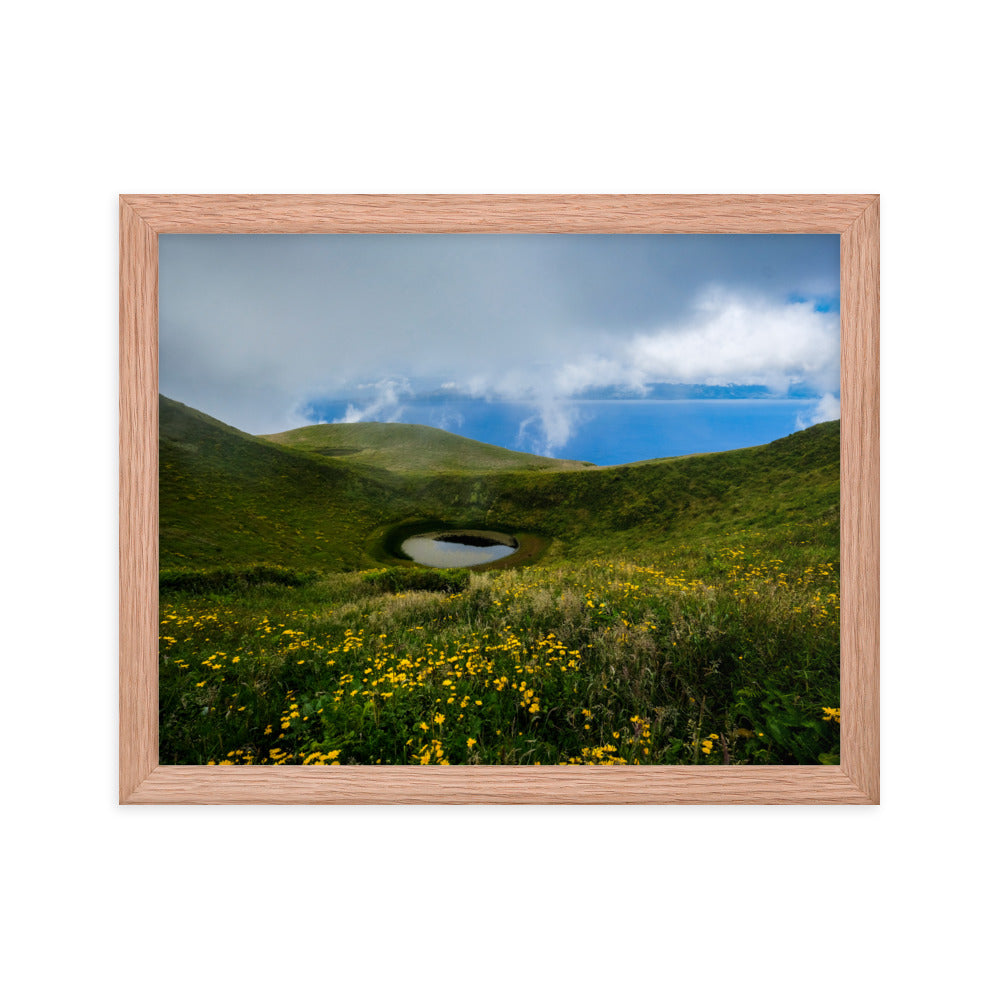 Framed photo paper poster