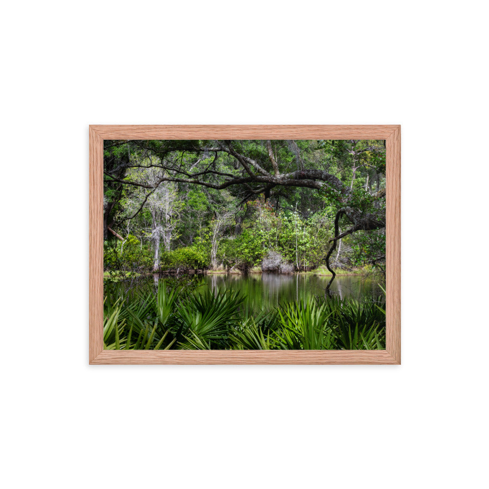 Framed photo paper poster