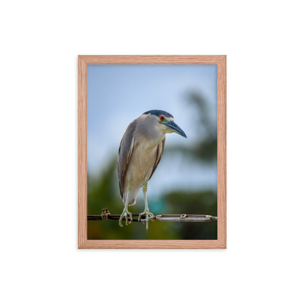 Framed photo paper poster