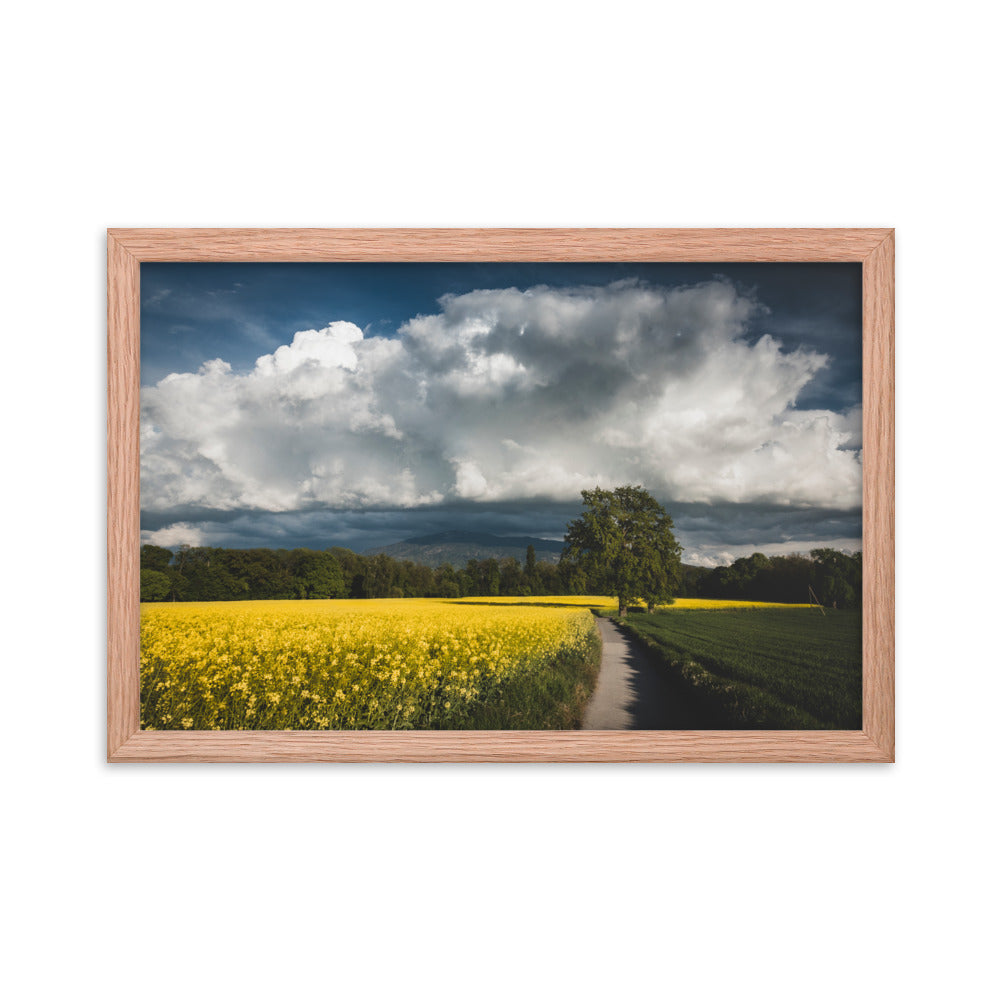 Framed photo paper poster