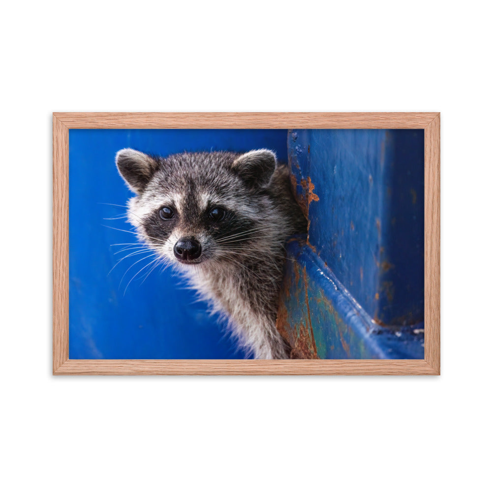 Framed photo paper poster