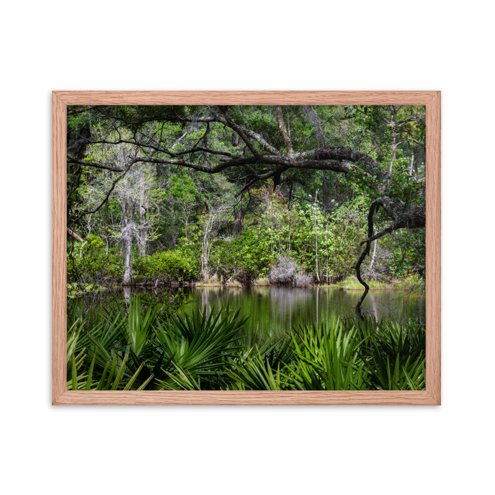 Framed photo paper poster