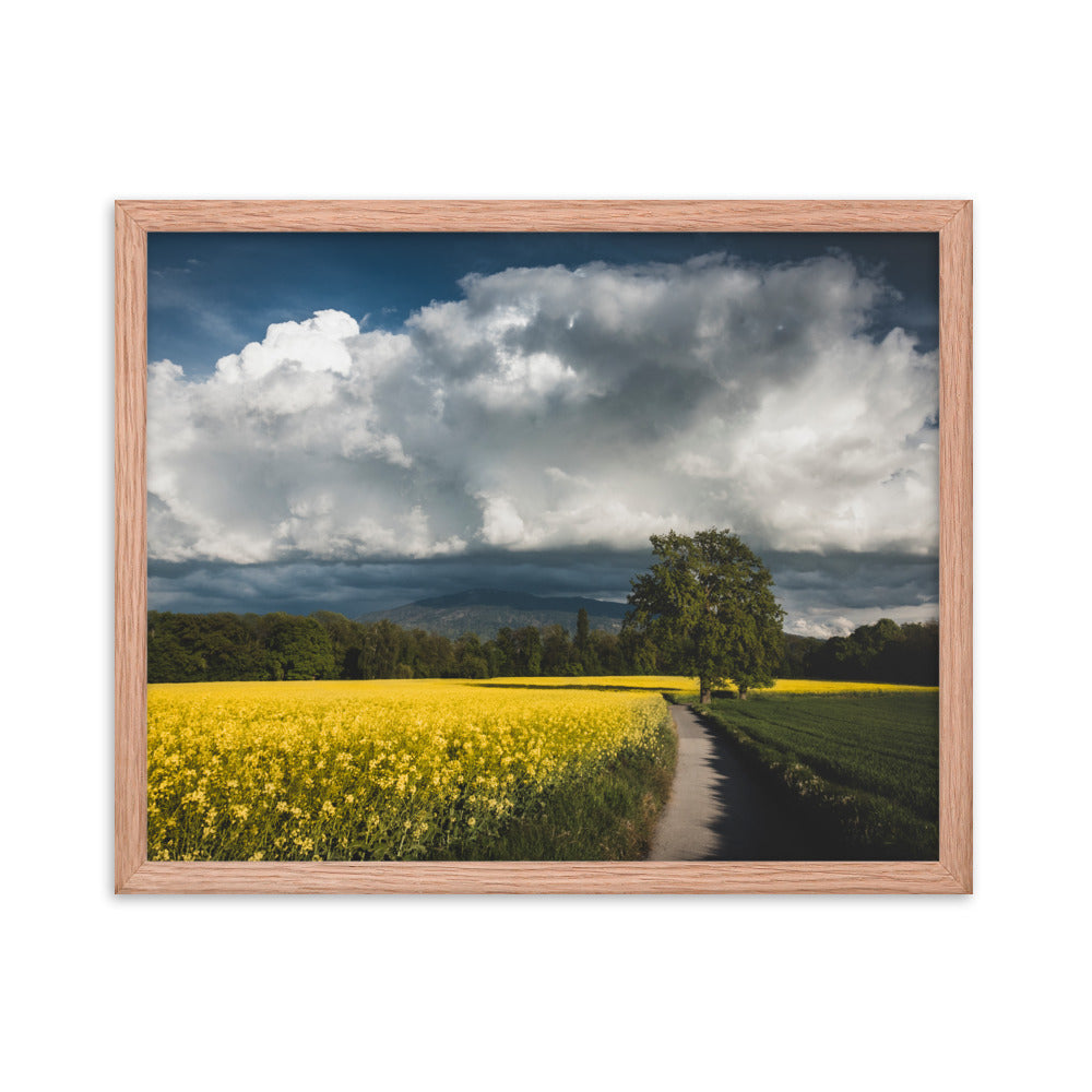 Framed photo paper poster