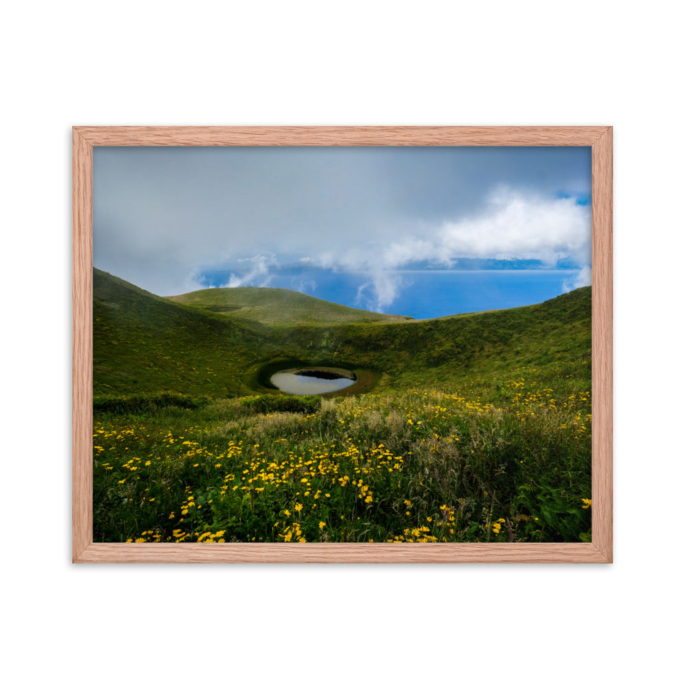 Framed photo paper poster