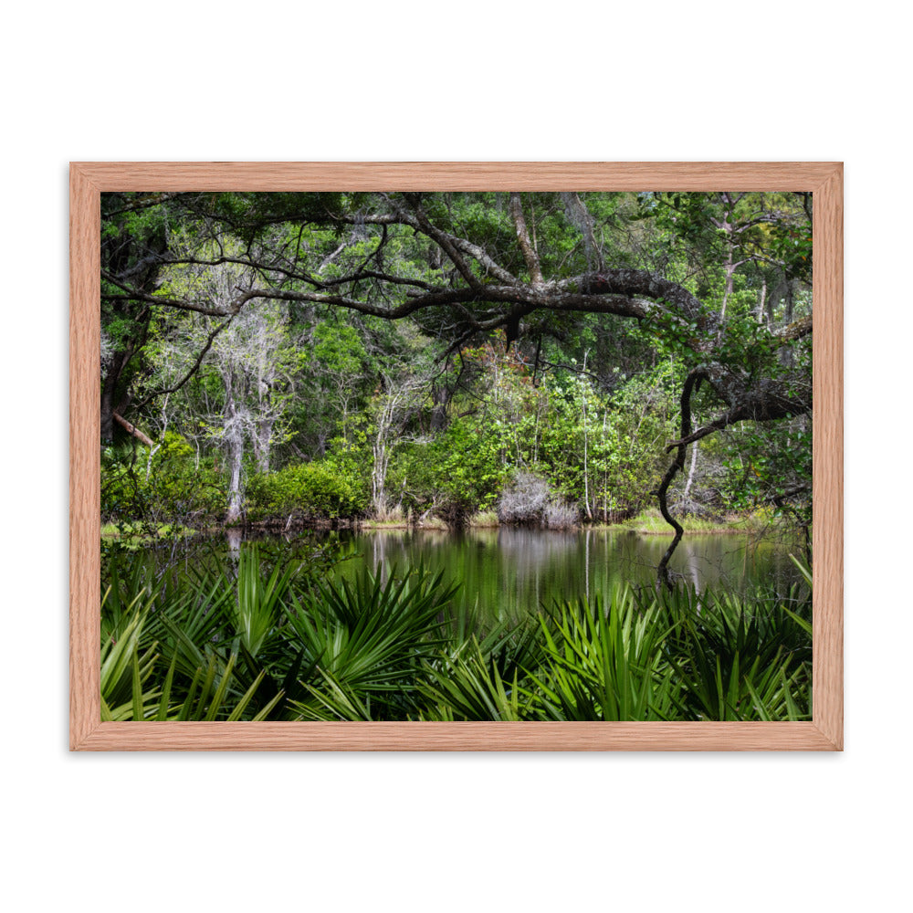 Framed photo paper poster