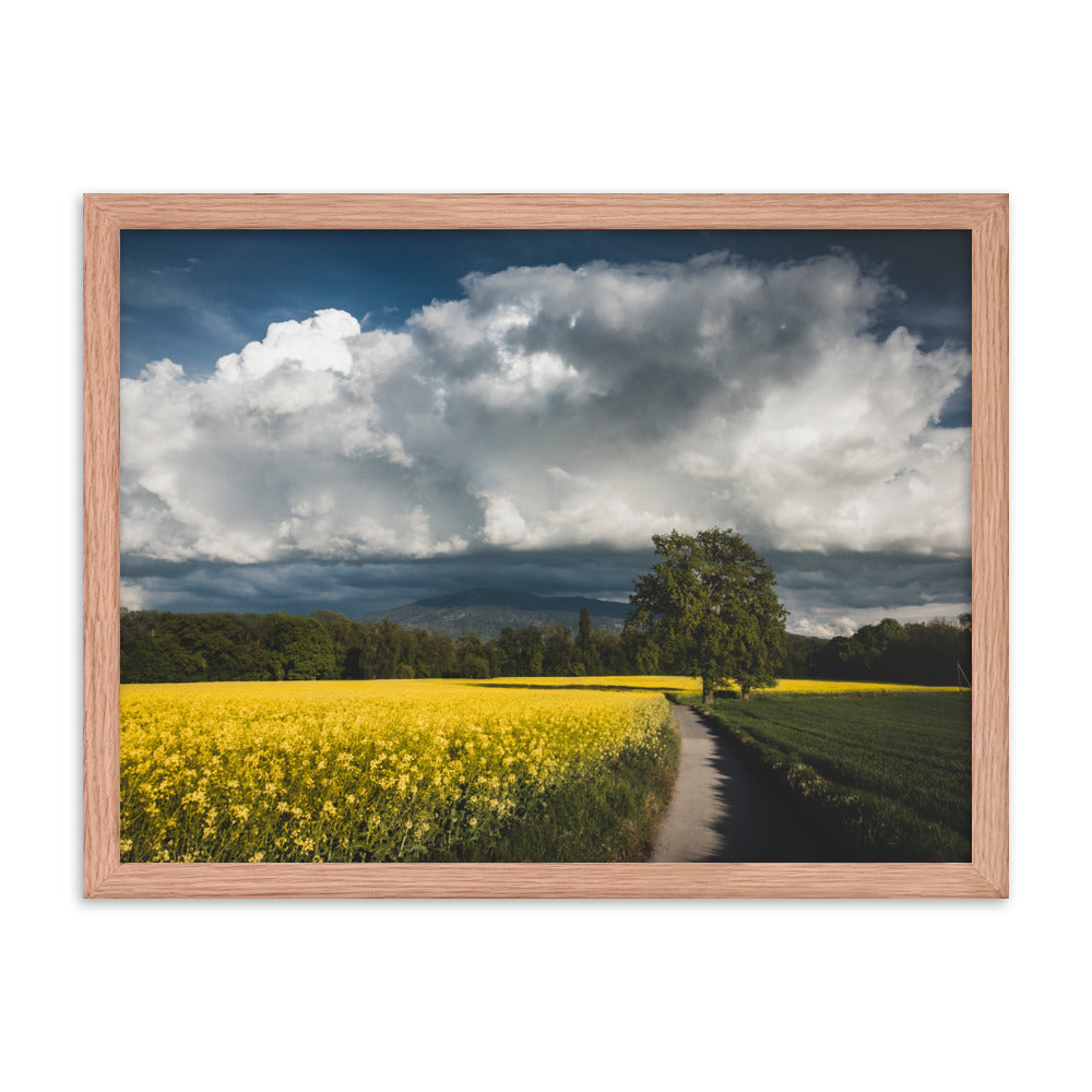 Framed photo paper poster