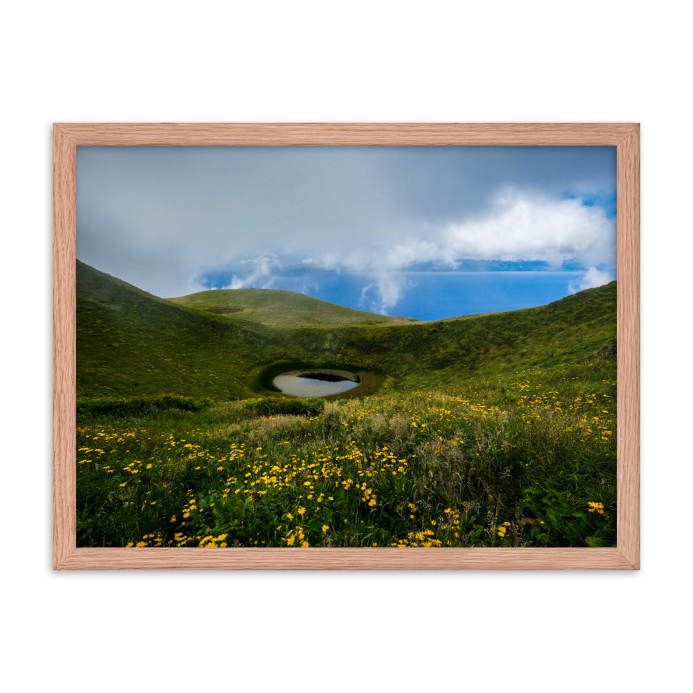 Framed photo paper poster