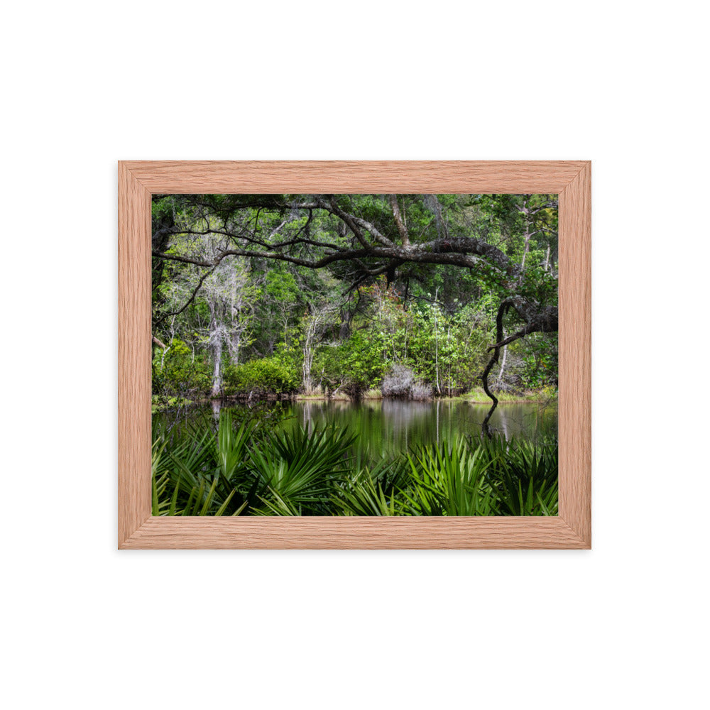 Framed photo paper poster